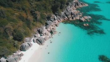 Majestic pine tree stands tall as tourists swim in turquoise waters generated by AI photo