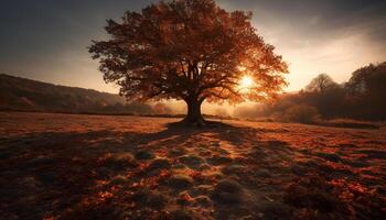 vibrante puesta de sol siluetas pino árbol en idílico montaña paisaje generado por ai foto