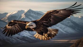 Spread wings, talons and beak, majestic bald eagle in flight generated by AI photo