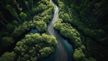 Green leaves on trees, tranquil water flowing in ravine generated by AI photo