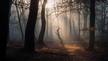 Spooky autumn landscape, wet leaves, fog, pine tree, mystery generated by AI photo