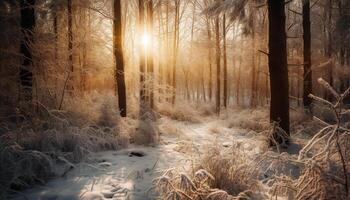 Tranquil scene of coniferous trees in wilderness area during summer generated by AI photo