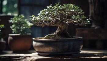 Fresh green growth in old pottery, a nature still life generated by AI photo