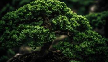 Organic spiral design on fern leaf in uncultivated forest generated by AI photo