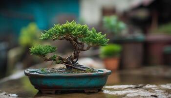 Small potted plant with green leaves in ornate pottery vase generated by AI photo