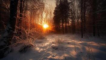 Tranquil forest footpath, back lit by sunrise, frost on grass generated by AI photo