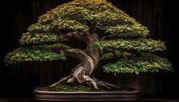hojas perennes pino árbol soportes alto en tranquilo japonés jardín decoración generado por ai foto