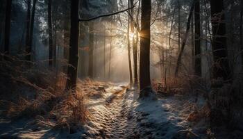 Tranquil footpath winds through mysterious winter forest, beauty abounds generated by AI photo