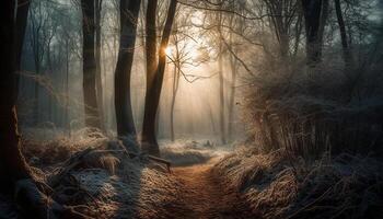 escalofriante otoño bosque, misterioso niebla, tranquilo belleza en naturaleza generado por ai foto