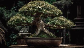 Green leaves on old pine tree symbolize Japanese spirituality generated by AI photo