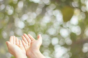 Closeup of child open two empty hands with palms up for pray to God and blessing on green blur background photo