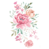 rot Pfingstrose Aquarell Blume png