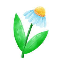 flower water color png