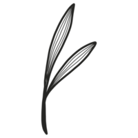 Line Art Leaf png