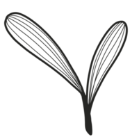 Line Art Leaf png