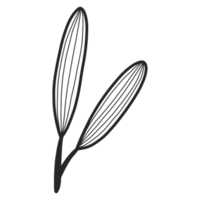 Line Art Leaf png