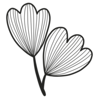 Line Art Leaf png