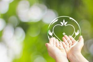 Closeup of child open two hands with palms up with Earth in shape, heart international health day concept photo