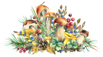 Forest mushrooms, boletus, chanterelles and blueberries, lingonberries, twigs, cones, leaves. Watercolor illustration, hand drawn. Isolated composition png