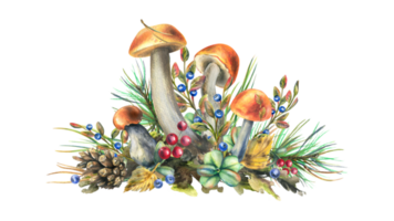 Mushrooms forest boletus with grass, blueberries, moss and cone. watercolor illustration, hand drawn. Isolated composition png