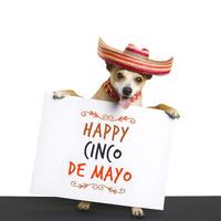 adorable mascota perro con cinco Delaware mayonesa día Moda participación rectangular bandera. ai generado foto