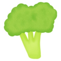 water color broccoli png