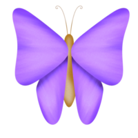 pequeno adorável borboleta png