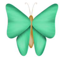 Little lovely butterfly png