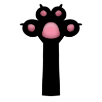 Kitten's little paw png