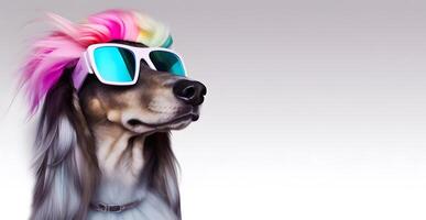 Fashionable Afghan hound dog wearing sunglasses in fairy kei style. photo