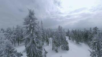 ungewöhnlich Antenne Aussicht von ein fabelhaft Winter Berg Landschaft Nahansicht. glatt und wendig Flug zwischen schneebedeckt Bäume. gefilmt auf fpv Drohne. video