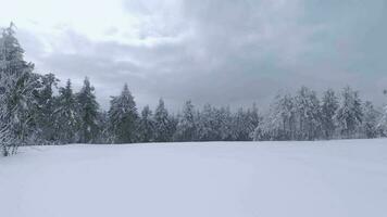 raro aéreo ver de un fabuloso invierno montaña paisaje de cerca. suave y maniobrable vuelo Entre cubierto de nieve arboles filmado en fpv zumbido. video