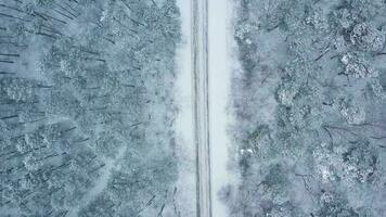 antenne visie van een auto ritten Aan een weg omringd door winter Woud in sneeuwval video