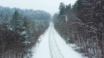 antenne visie van een auto ritten Aan een weg omringd door winter Woud in sneeuwval video