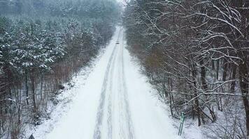 Antenne Aussicht von ein Auto Fahrten auf ein Straße umgeben durch Winter Wald im Schneefall video