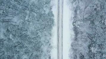 antenne visie van een auto ritten Aan een weg omringd door winter Woud in sneeuwval video