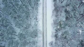 Aerial view of a car rides on a road surrounded by winter forest in snowfall video