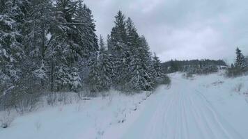 inhabituel aérien vue de une fabuleux hiver Montagne paysage fermer. lisse et maniable vol entre couvert de neige des arbres. filmé sur fpv drone. video