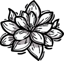 skizzenhaft Blume png Grafik Clip Art Design