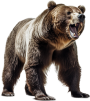 Bear with . png