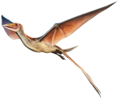 Pteranodon volante png con ai generato.