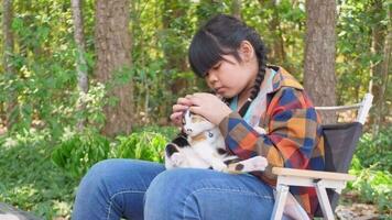 Asian girl sitting with tricolor cat video