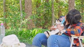 ásia menina sentado com tricolor gato video