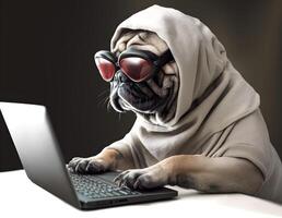 Cute pug dog with hoodie. Concept of hacker, busy pet or work from home. photo