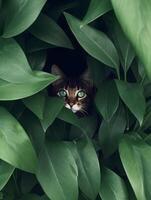 linda gatito oculto Entre el verde hojas. ai generado foto