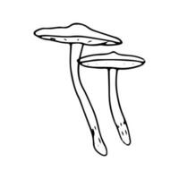 Mushroom, great design for any purposes. Doodle vector illustration. Edible mushrooms and toadstools. Healthy food illustration. Autumn forest plants sketches for textiles, wallpaper, coloring