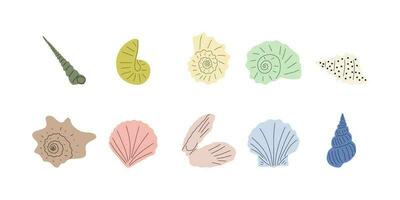 Tropical underwater seashell. Hand drawn sea mollusk shellfish element. Vector illustration in scandinavian style.