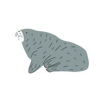 Cute walrus in Scandinavian style on a white background. Vector hand drawn kids illustration. Sea ocean. Underwater world