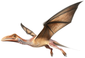 pteranodon flygande png med ai genererad.