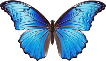 Butterfly png with AI generated.